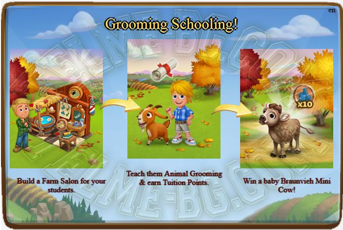 Grooming-Schooling